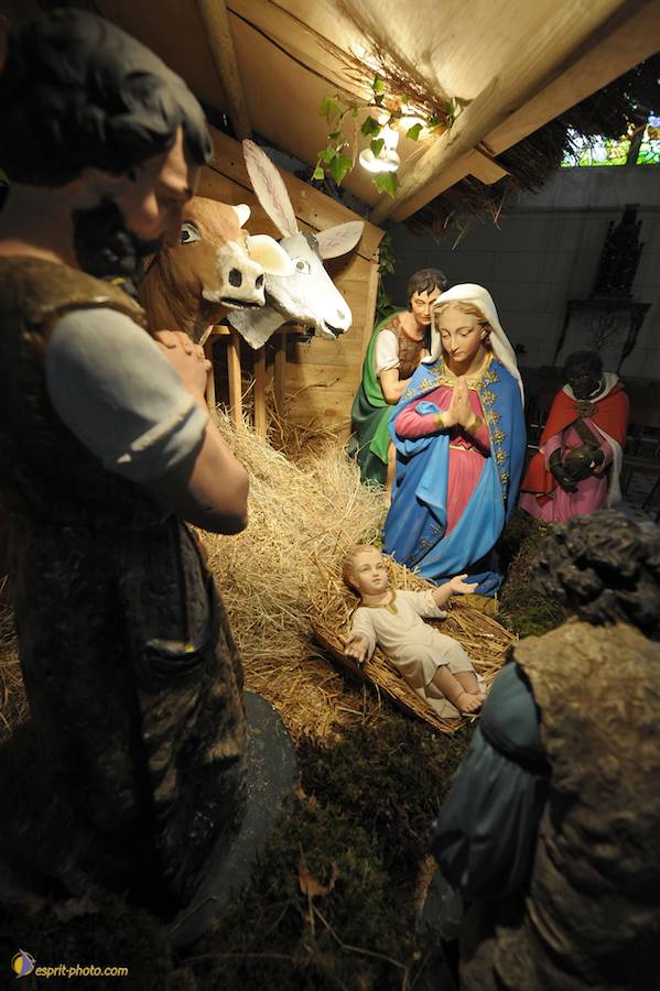 Nom de l'image : D30043085_1_(c)Norbert-JUNG — Description :